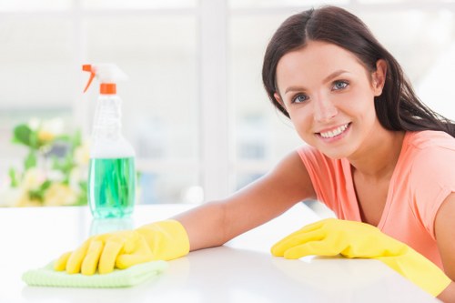 Clean residential windows in Barnes on a period home