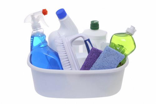 Illustration representing inclusive access to cleaning service information