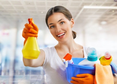 Cleaning services terms and conditions document introduction