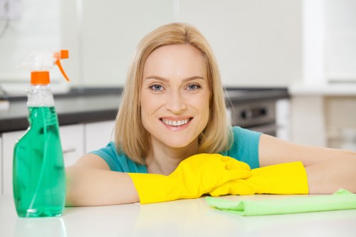Professional cleaning support in Barnes for homes and offices