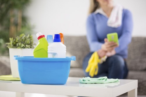 Local cleaners working in a Barnes apartment or townhouse