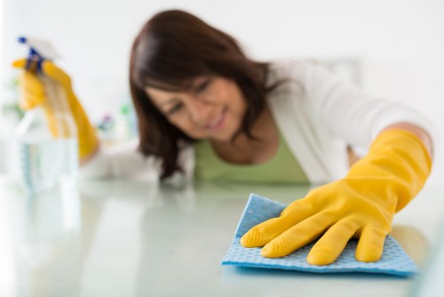 Booking process section for cleaning services terms